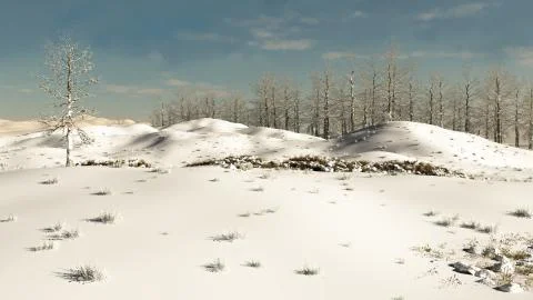 Snowy Winter Hillside Stock Illustration