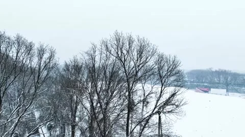 Snowy winter landscape with bare trees and heavy snowfall in a serene park Stock-Footage 347052271