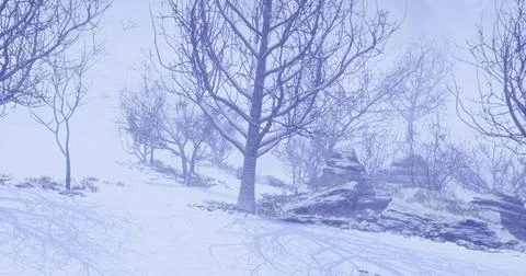 Snowy winter landscape with bare trees and rocky terrain in soft light 스톡 일러스트