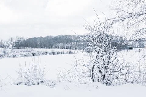 Snowy winter landscape of fields an trees in the countryside in the Ardennes, Stock Photos