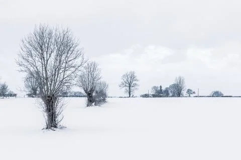 Snowy winter landscape of fields an trees in the countryside in the Ardennes, Stock Photos