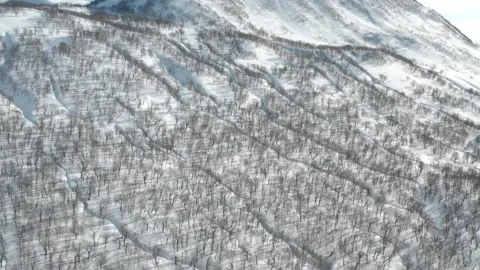 Snowy winter landscape  Stock Footage 239244884