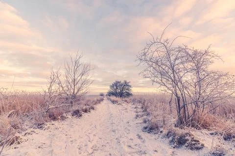 Snowy winter landscape with a path Stock Photos