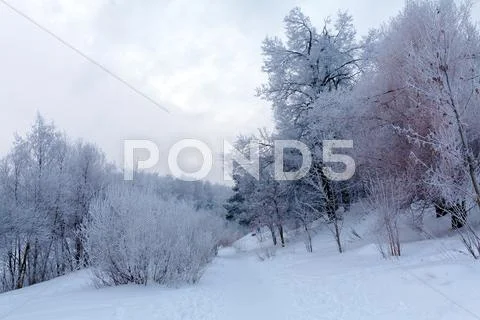 Snowy winter landscape Stock Photos