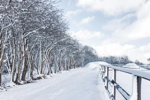 Snowy winter landscape, tree lined track road in the countryside in the Arden Stock Photos
