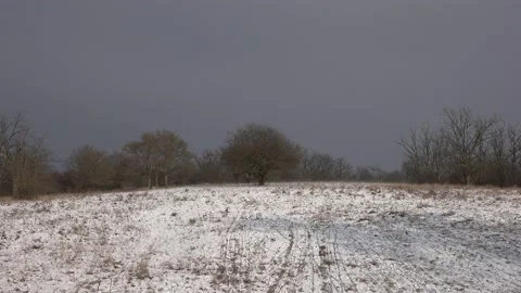 Snowy winter landscape, wind blowing snow on the hill Stock Footage 149010531