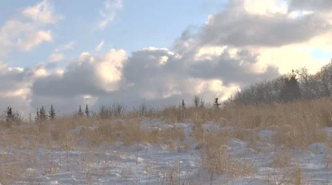 Snowy Winter Meadow with Passing Cloud Shadow Stock Footage 8969550
