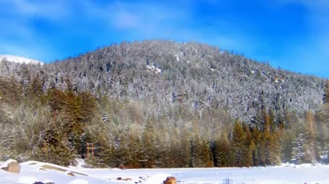 Snowy Winter Mountain and Trees Video stock 8963230