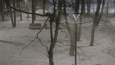 Snowy winter night in park with falling snowflakes Video stock 324808268