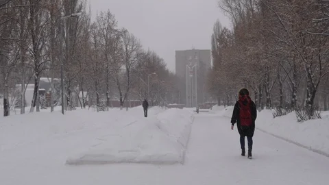Snowy winter outdoors Stock Footage 86702399