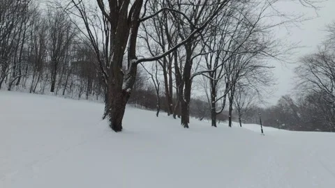 Snowy Winter Park With Bare Trees and Falling Snow Stock Footage 323423578