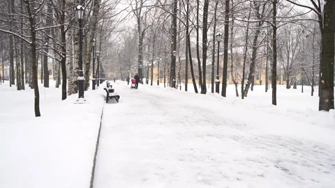 Snowy winter in a park with benches Stock Footage 267192272