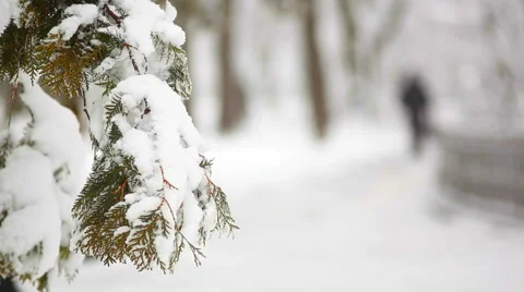 Snowy winter park Stock Footage 46041624