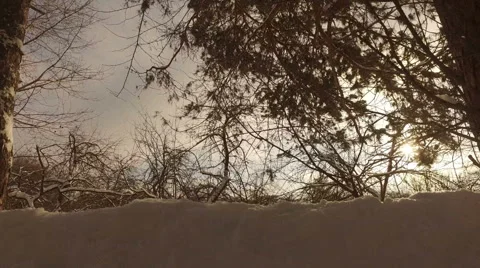 Snowy winter park Stockbeeldmateriaal 59912931