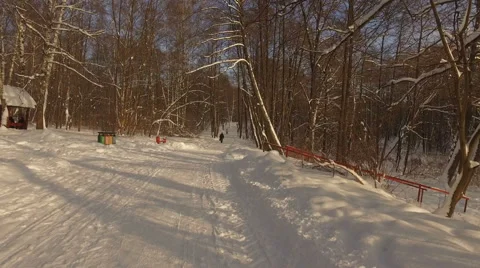 Snowy winter park Stockbeeldmateriaal 59914121