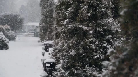 Snowy winter park Stock Footage 151747151