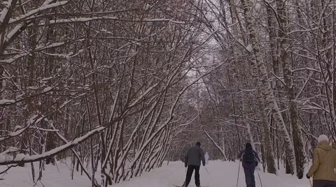 Snowy winter park Kuzminki Russia Moscow winter Stockbeeldmateriaal 59351370