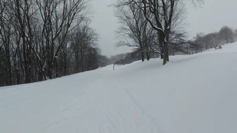 Snowy Winter Park Path With Bare Trees Stock Footage 323423629