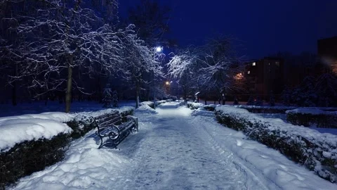Snowy Winter Park Path At Night With Bench And Streetlight 库存影片 328707687
