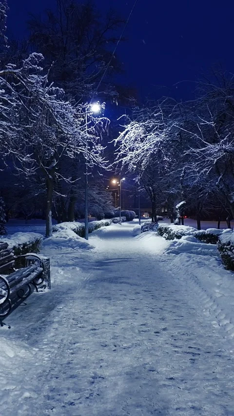 Snowy Winter Park Path At Night With Bench And Streetlight Stock Footage 329173684