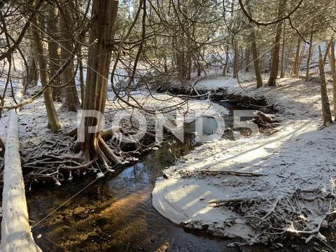 Snowy Winter River