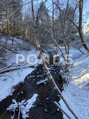 Snowy Winter River