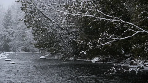 Snowy Winter River Running Through Snow Covered Over Hanging Forest Landscape Video stock 162184456