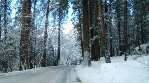 Snowy Winter Road Video stock 10021863
