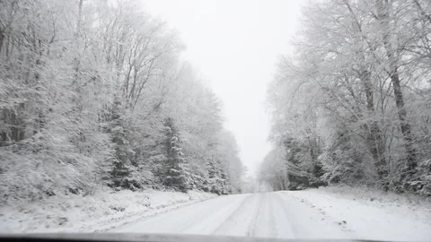 Snowy winter road in the forest. Video stock 256035922