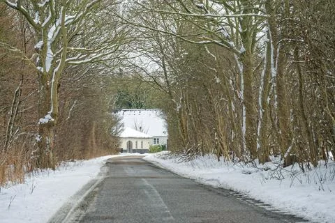 Snowy winter road lined with bare trees leading to a house with a snow cove.. Stock Photos