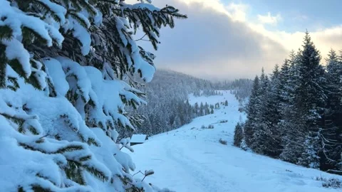 A snowy winter scene features evergreen trees covered in snow along a path Video stock 326348196