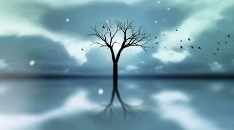 Snowy Winter Scene Timelapse And Flying Birds Stock Footage 66269850