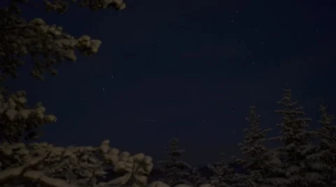 Snowy winter spruce tree forest with star filled night sky and shooting stars Stock Footage
