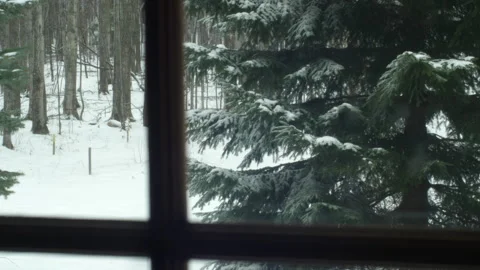 Snowy Winter View Outside Window with Trees Stock Footage 196890512