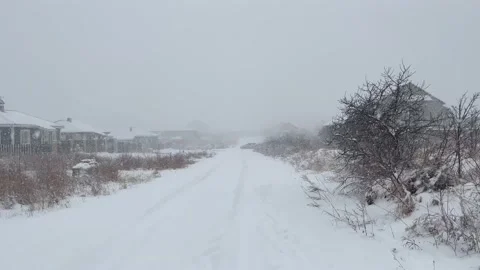 Snowy winter weather Stock Footage 239291207