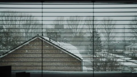 Snowy Winterday Stock Footage 148102330