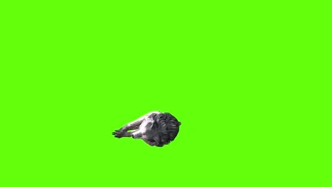 Snowy Wolf down loop  green screen animation 3D rendering Stock Footage 296959894