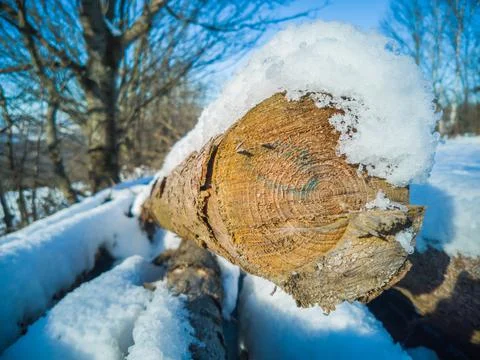 Snowy wood, trunk, knot, log on a pile in winter Stock Photos