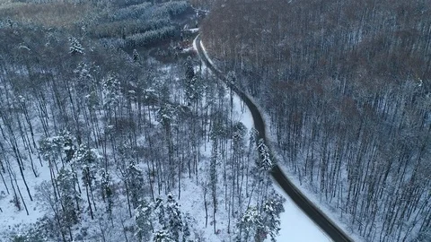 Snowy woods from above. Video stock 102048344