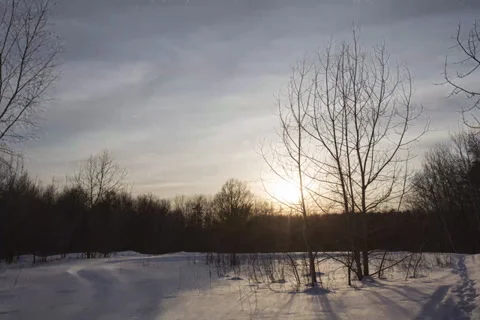 Snowy Woods Sunset Video stock 35108027