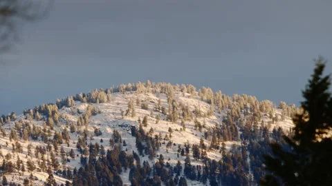 Snowy Yellowstone Landscape Stock-Footage 202049864