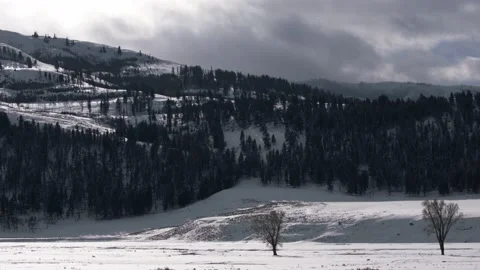 Snowy Yellowstone Landscape Stock-Footage 202050606