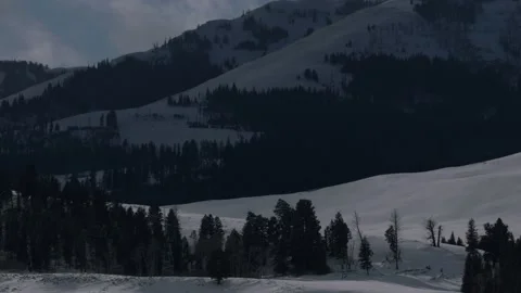 Snowy Yellowstone Landscape Stock-Footage 202051160