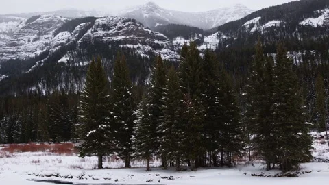 Snowy Yellowstone Landscape Stock-Footage 202052771