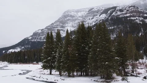 Snowy Yellowstone Landscape Stock-Footage 202052808