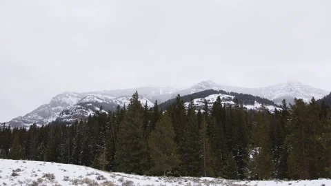Snowy Yellowstone Landscape Stock-Footage 202052839