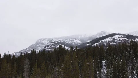 Snowy Yellowstone Landscape Stock-Footage 202052962