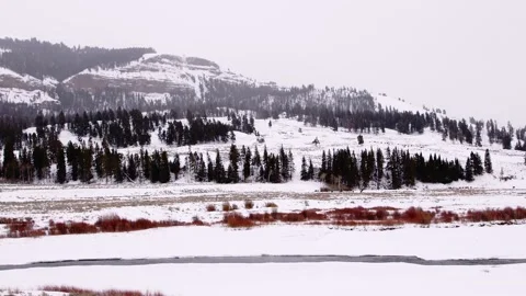 Snowy Yellowstone Landscape Stock-Footage 202053012