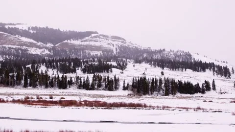Snowy Yellowstone Landscape Stock-Footage 202053046