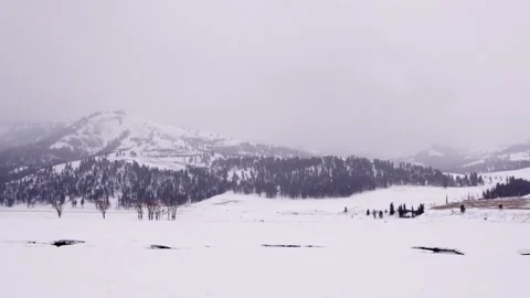 Snowy Yellowstone Landscape Stock-Footage 202053080